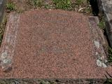 image of grave number 699584